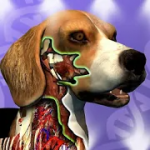 idle-animals-1-5-8-mod-money-no-ads