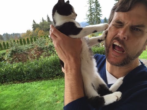 allcast-premium-2-0-5-1-apk