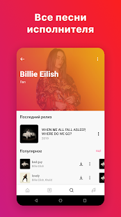 boom-vk-music-player-4-2-4749-subscription