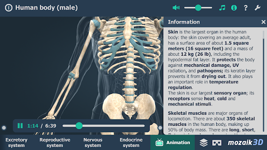 human-body-male-educational-vr-3d-1-24