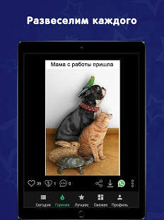 giggy-jokes-1-70-ad-free