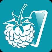 raspcontroller-pro-4-4-6