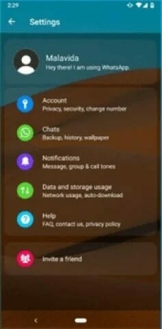WhatsApp Transparent APK4