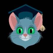 SmartCat English Grammar Exercises and Practice 5.1 Mod