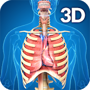 respiratory-system-anatomy-1-8-unlocked