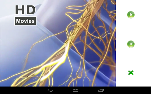 visual-anatomy-2-3-2-paid