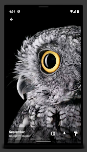 4k-amoled-wallpapers-no-ads-3-6-0