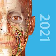 human-anatomy-atlas-2021-complete-3d-human-body-2021-1-68-paid