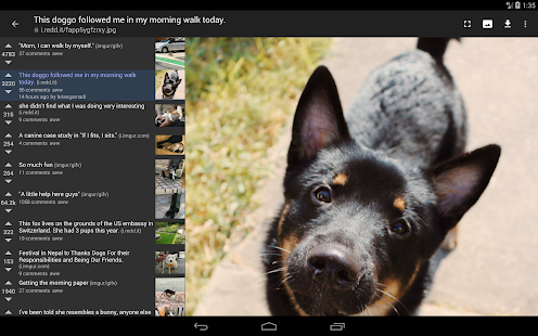 rif-is-fun-golden-platinum-for-reddit-4-19-1-paid